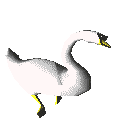 swan imej-animasi-gif